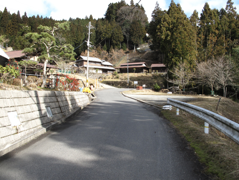 20140105hike (241)